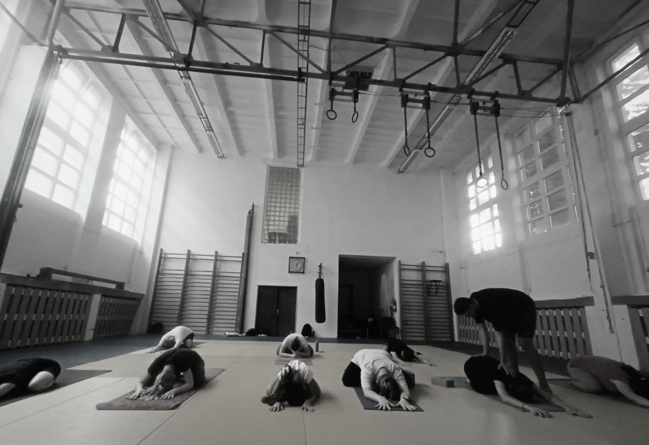 Přečtete si více ze článku Jak probíhají lekce jógy v Olomouci